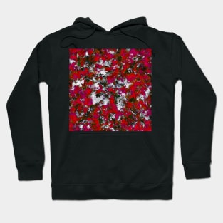 Snow and red Hoodie